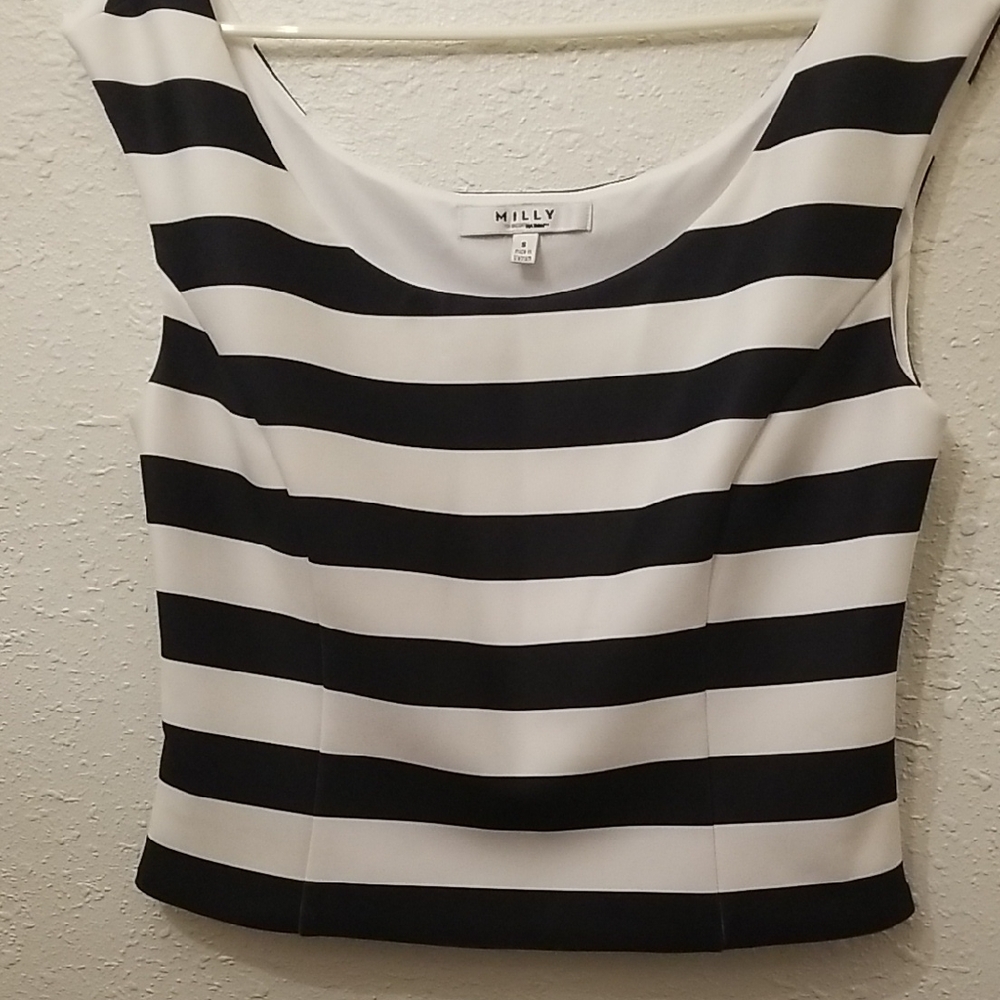 Milly Bold Striped Crop Top in Black and White